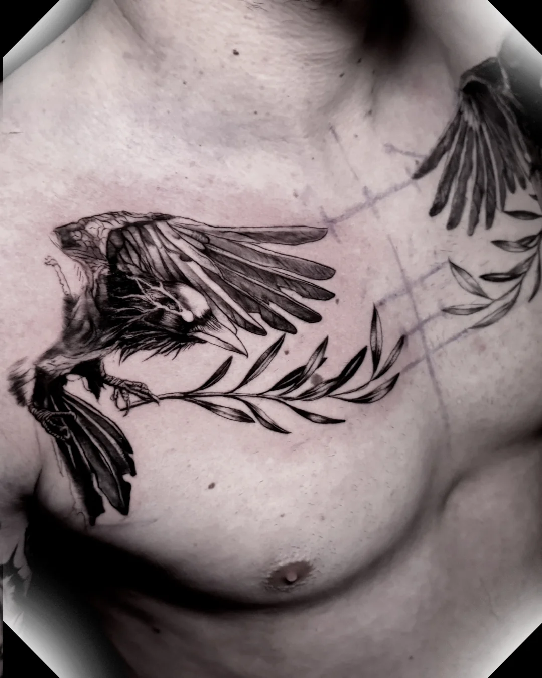 varjak — Fineline Tattoo Bern Solothurn — Berkunst Tattoo Utzenstorf