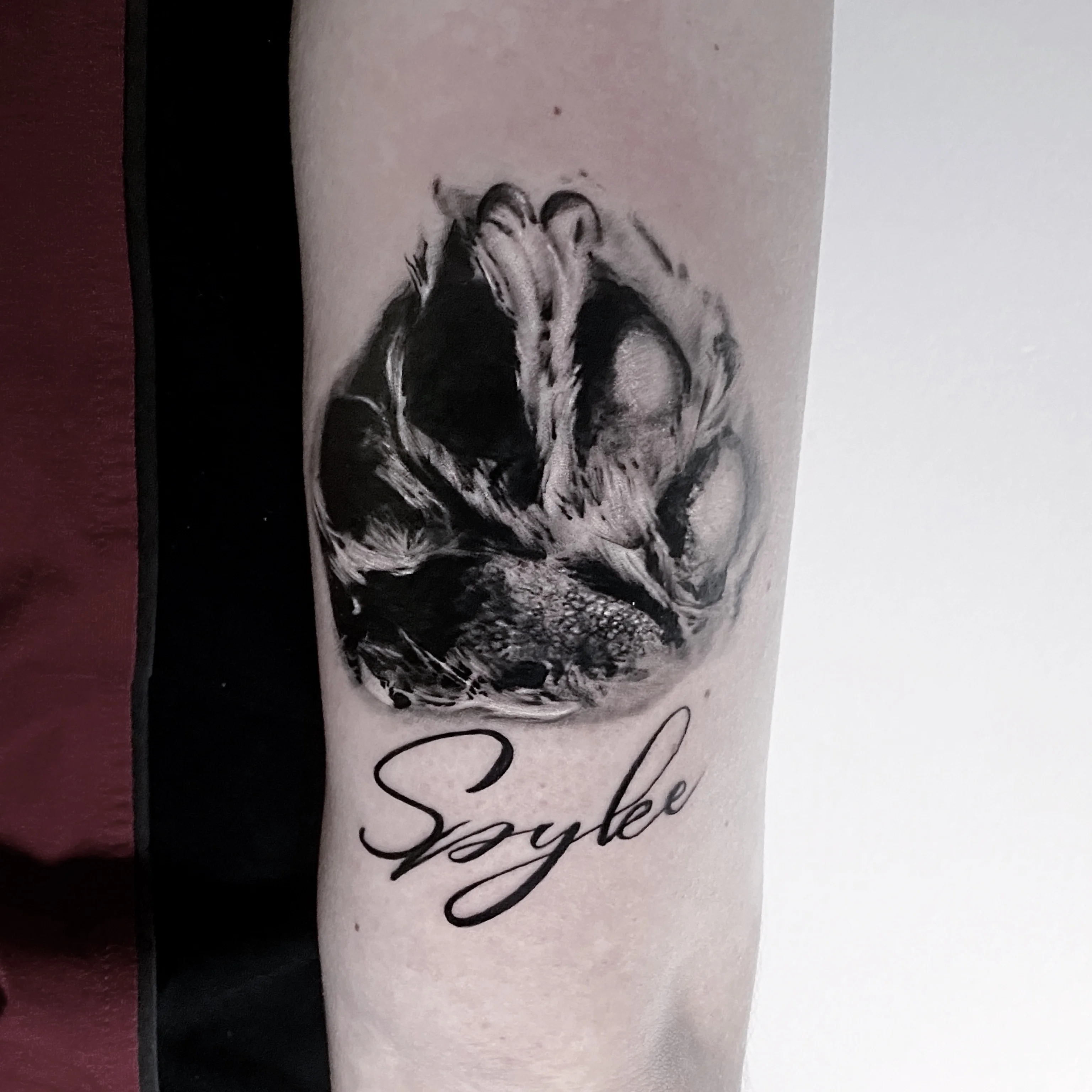 tapi — Realistik Tattoo Bern — Berkunst Tattoo Utzenstorf