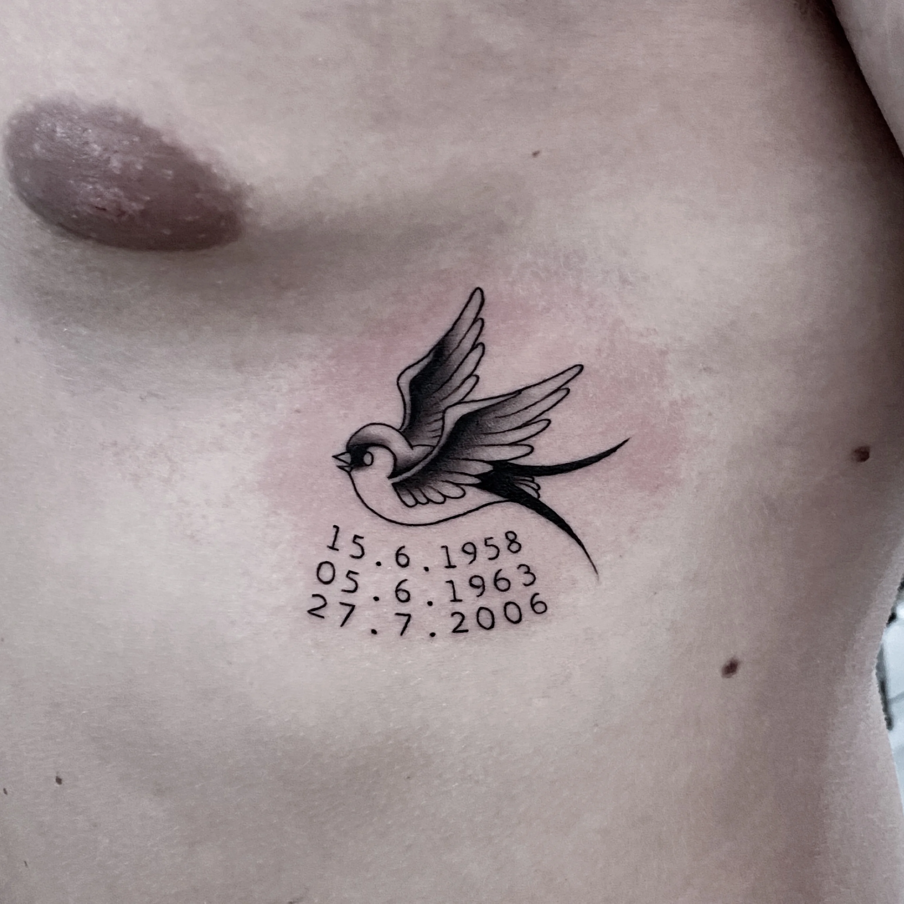 fecske — Fineline Tattoo Bern Solothurn — Berkunst Tattoo Utzenstorf